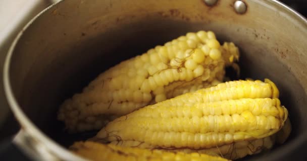 Three Appetizing Corns Pot Kitchen — Stock Video
