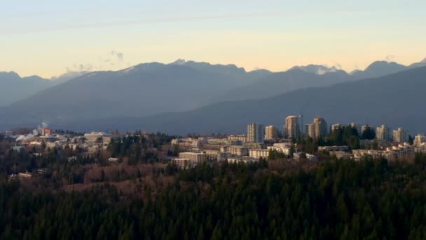 Sfu Burnaby Campus Deep Woodland Burnaby Height British Columbia — 비디오