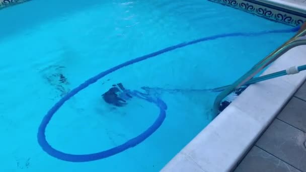 Nahaufnahme Von Oben Auf Staubsaugen Boden Vinyl Liner Schwimmbadboden Mit — Stockvideo