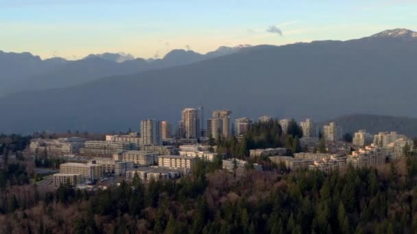 Public Research Institution Simon Fraser University Thick Forest Mountain Burnaby — Stockvideo