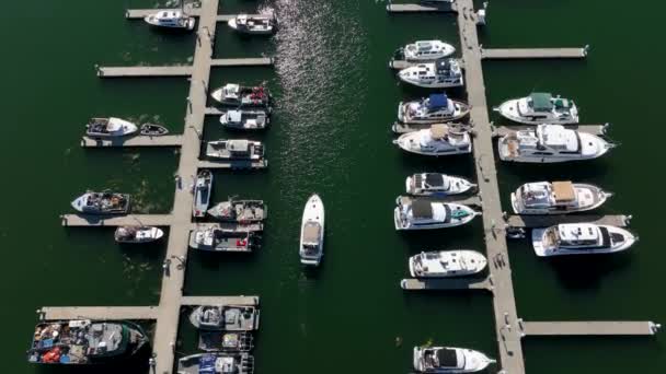 Сверху Вниз Снимок Лодки Замедляющейся Направляющейся Назначенному Месту Пристани — стоковое видео