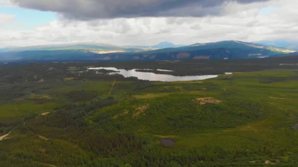 Drone Video Mountains Otto Lake Healy Alaska Sunny Summer Day — стокове відео