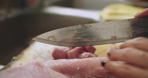 Nahaufnahme Des Schneidens Von Tollfischstücken Zur Zubereitung Von Ceviche — Stockvideo