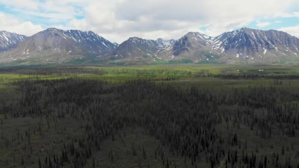 Drone Video Mountain Peaks Granite Creek Denali National Park Alaska — стокове відео