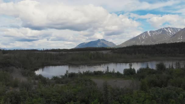 Drone Βίντεο Από Κορυφές Βουνών Και Γρανιτών Creek Κοντά Denali — Αρχείο Βίντεο