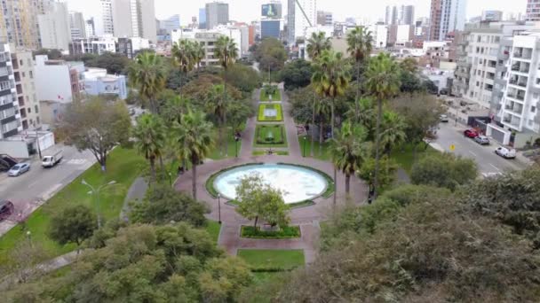 Vídeo Drone Parque Com Muitas Árvores Incluindo Pinheiros Uma Grande — Vídeo de Stock