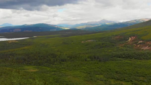 Drone Video Mountains Otto Lake Healy Alaska Sunny Summer Day — Stock Video