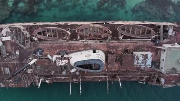 Szaúd Arábia Jeddah Partjainál Zátonyra Futott Roncshajóról Emelkedő Madárriadó — Stock videók