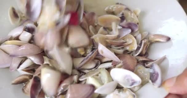 Delicioso Alimento Peruano Ceviche Com Conchas Palabritas Cebola Milho Pimenta — Vídeo de Stock