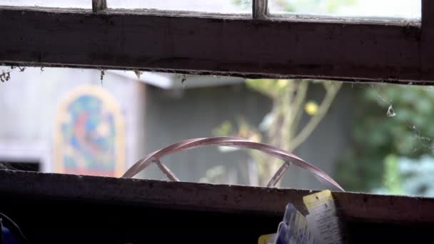 一只卡罗丽娜 Thryothorus Ludovicianus 带着食物从窗口走进来 给她的孩子们喂食 — 图库视频影像