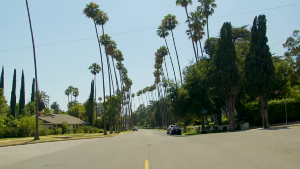 Altadeně Kalifornii Vál Lehký Vánek Mezi Stromy Křižovatce Braeburn Road — Stock video