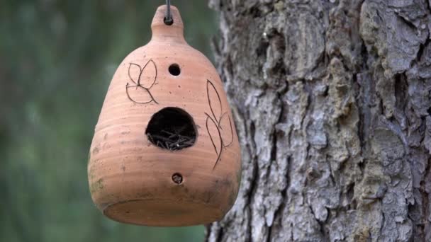 木から粘土製の鳥小屋がかかっている — ストック動画