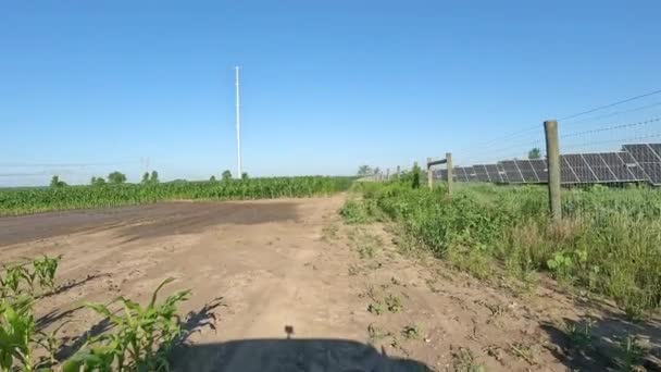 Pov While Driving Reverse Dirt Lane Muddy Corn Field Solar — Stock Video