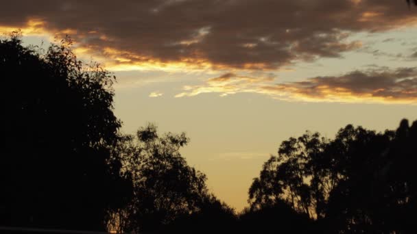 Atardecer Australiano Con Árboles Goma Nubes Durante Hora Dorada Maffra — Vídeos de Stock