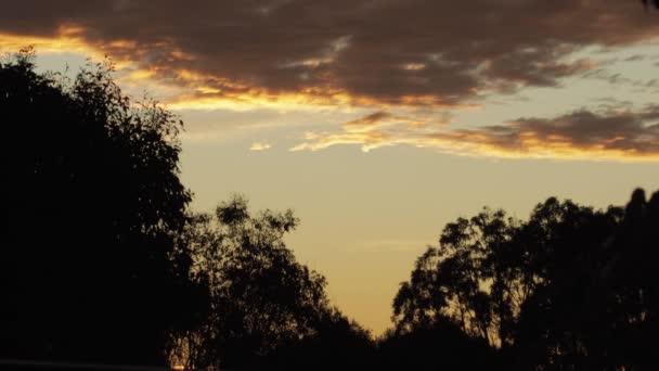 Time Lapse Australian Sunset Med Tuggummi Träd Och Moln Gyllene — Stockvideo