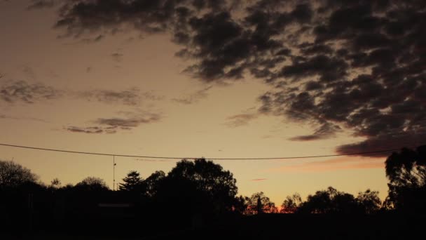 Australian Sunset Big Red Altocumulus Cloud Formation Gum Trees Time — Stock videók