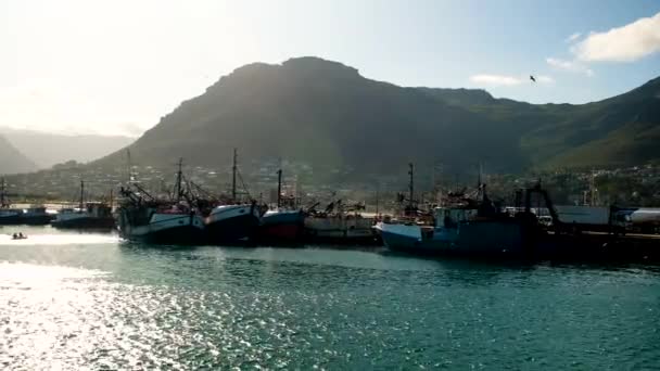 Båtkryssningar Tillbaka Till Hout Bay Hamn Morgon Solljus Med Kajaker — Stockvideo
