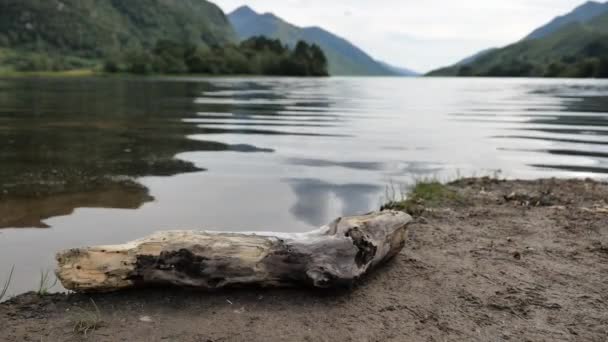 Kousek Dřeva Břehu Loch Shiel Glenfinnanu Skotsku Vodními Vlnami — Stock video