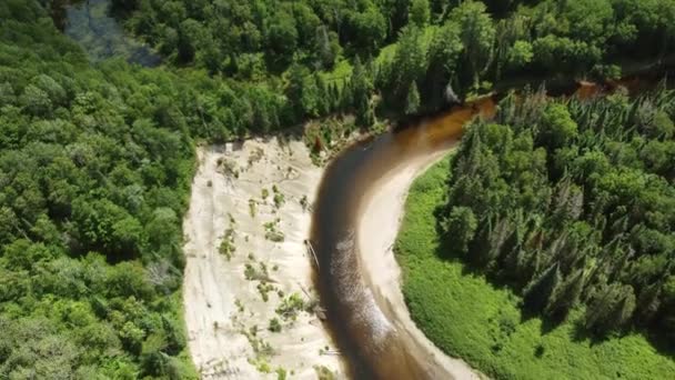 位于加拿大安大略省阿罗海德省立公园的大东河蜿蜒的无人机视图 — 图库视频影像