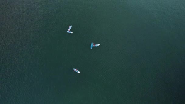 Group Active People Exercising Stand Paddle Boarding Sup Baltic Sea — Stock Video