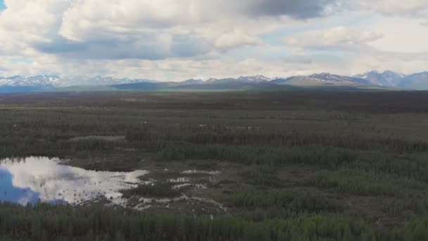 Vídeo Drone Picos Montanha Granito Creek Perto Parque Nacional Denali — Vídeo de Stock