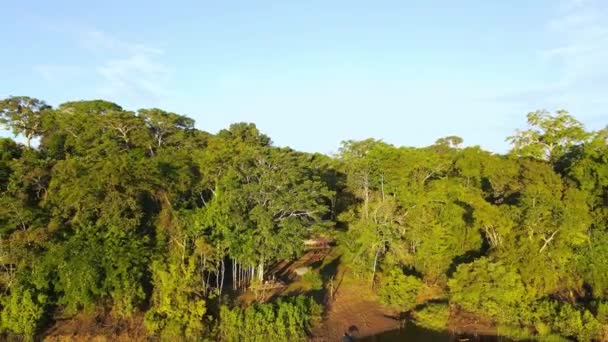 Vista Aérea Afastando Tiro Vista Panorâmica Uma Cabana Madeira Floresta — Vídeo de Stock