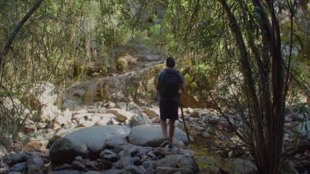 Visão Traseira Homem Andando Leito Rio Durante Exploração Trekking Verão — Vídeo de Stock