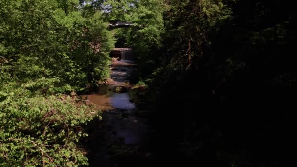 Bahar Ormanı Nehir Akışı Nın Statik Bir Görüntüsü Doğanın Güzel — Stok video