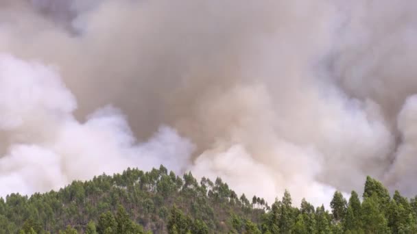 Grootste Bosbrand Portugese Algarve Rond Sao Marcos Serra Met Enorme — Stockvideo