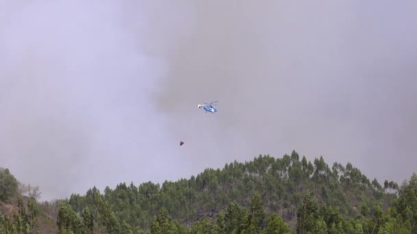 アルガルヴェ ポルトガルで大規模な森林火災を発生させるためにウォーターバスケットを搭載した2基のプロペラヘリコプターの広いショット — ストック動画