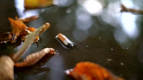 Wet Cigarette Butt Water Puddle Leaves — Video