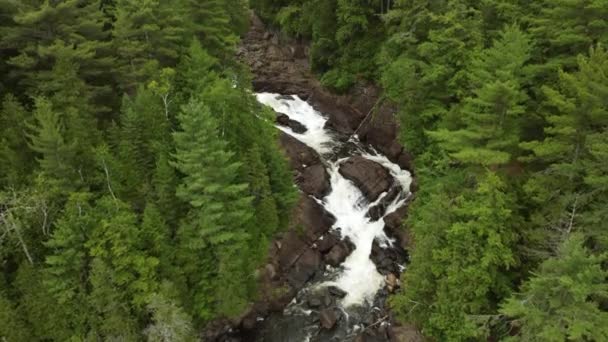 Stijgende Antenne Boven Oxtongue Valt Groene Bomen Rivier Stromende Algonquin — Stockvideo