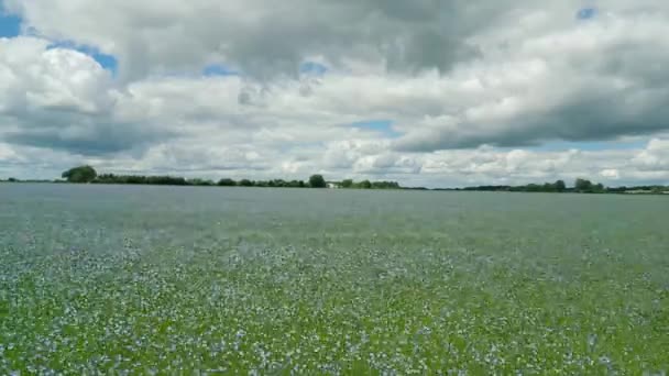 Cinematic Nature Footage Drone Flying Fields Middle Countryside Normandië France — Stockvideo