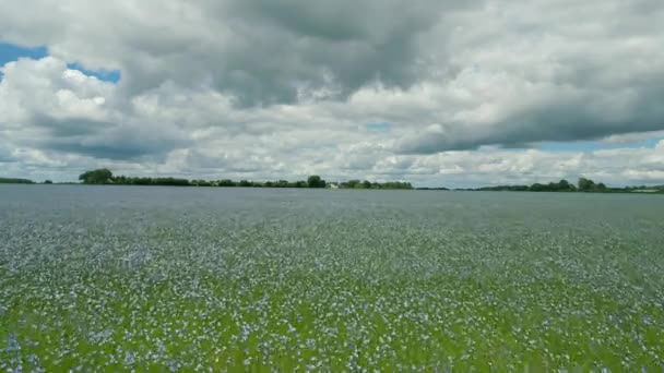 Cinematic Nature Footage Drone Flying Fields Middle Countryside Normandië France — Stockvideo