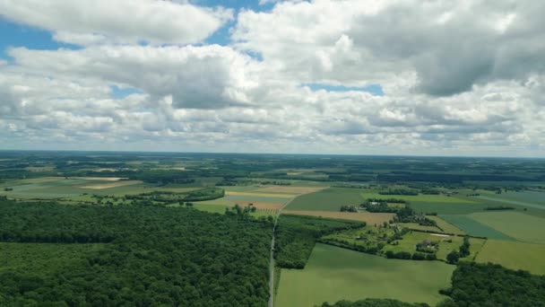 Filmisk Natur Optagelser Drone Flyver Marker Midten Landskabet Normandiet Frankrig – Stock-video