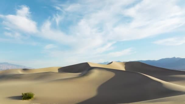 Panorama Sand Dunes Desert Foot Marks Death Valley National Park — Stock Video