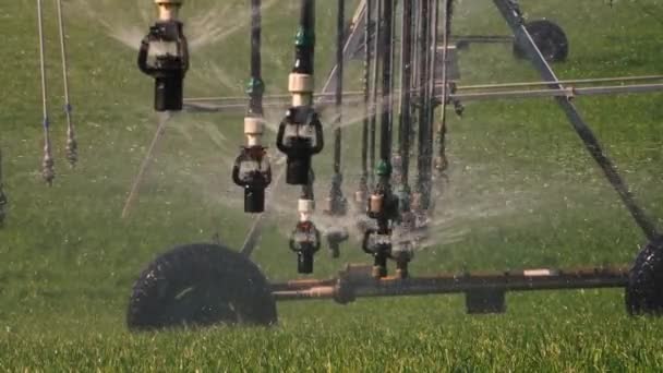Arroseurs Rotatifs Applicateur Style Suspendus Système Irrigation Pivot Central Gros — Video