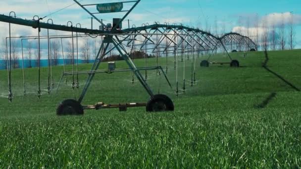 Center Pivot Irrigatie Machine Geautomatiseerd Water Spuiten Groene Gewassen Toekomstige — Stockvideo