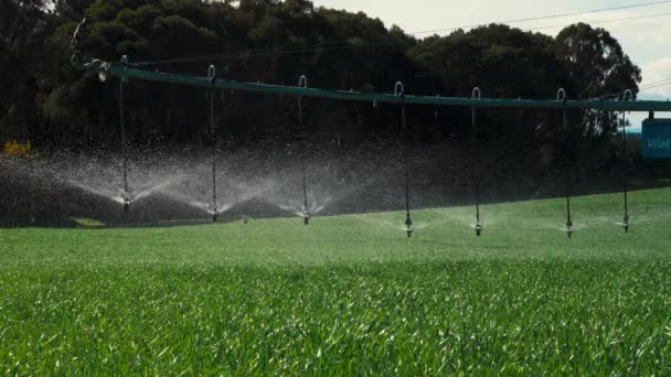 Nozzles Spraying Water Fresh Green Crop Farm Land Automated Circle — Stock Video