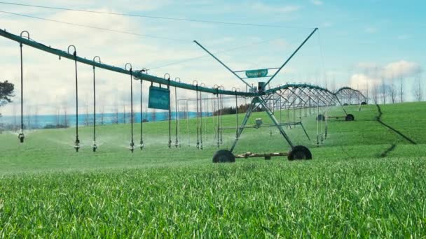 Irrigatie Watersysteem Spuiten Weelderige Landbouwgrond Langzaam Bewegend Stalen Frame — Stockvideo