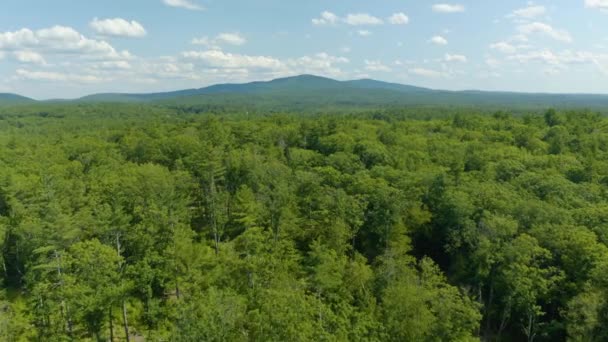 空中ドローンは 米国ニューハンプシャー州の日没の湖の横の山の森の上を前方に移動しました 美しいドローンの風景 — ストック動画