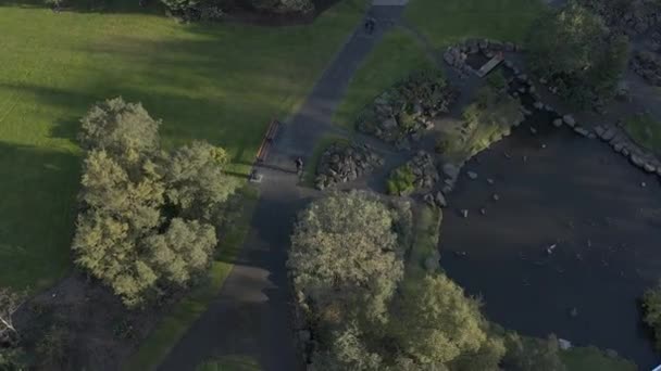 Persona Esecuzione Nel Parco Giardino Botanico Islanda Durante Tramonto Aerea — Video Stock