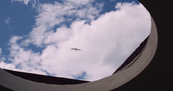 从一个有开放孔的古建筑屋顶看一只展翅的小鸟在乌云的蓝天中飞翔 低角度射击 — 图库视频影像