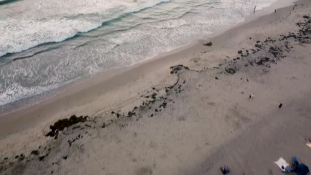 Arial Widok Zachód Słońca San Diego Pobliżu Molo Ocean Beach — Wideo stockowe