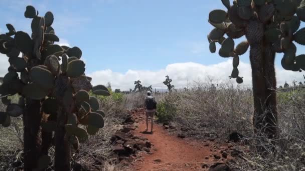 Man Backpacker Vandrar Till Horizon Cacti Santa Cruz Island Galapagos — Stockvideo