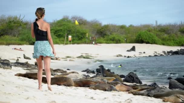 Ženské Turistické Procházky Směrem Skupině Lachtanů Pláži Playa Punta Ostrově — Stock video