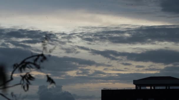 Sunset Tripod Shot Sky Birds Passing Far Away — Stock Video