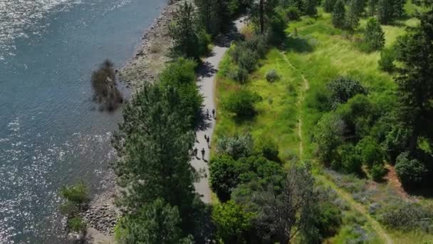 Aerial Shot People Walking Spokane River Centennial State Park Trail — Stock Video