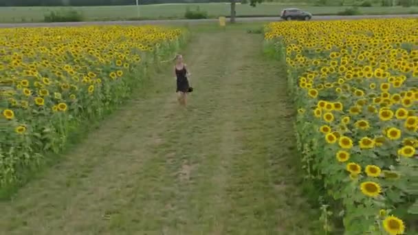 Mujeres Jóvenes Feliz Corriendo Través Camino Girasoles Con Vestido Verano — Vídeo de stock
