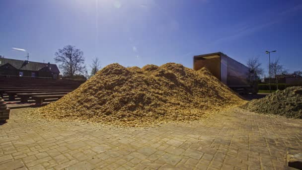 Close Shot Truck Unloading Wood Chips Cemented Floor Bright Sunny — Stock Video